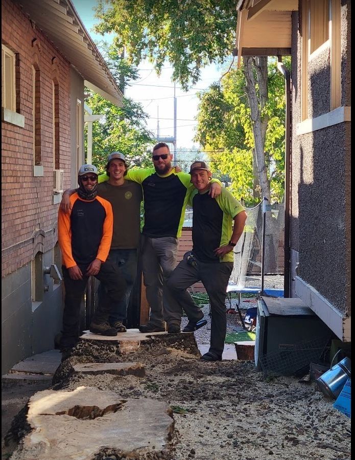 The Sterling Tree Company crew on site after a tree removal